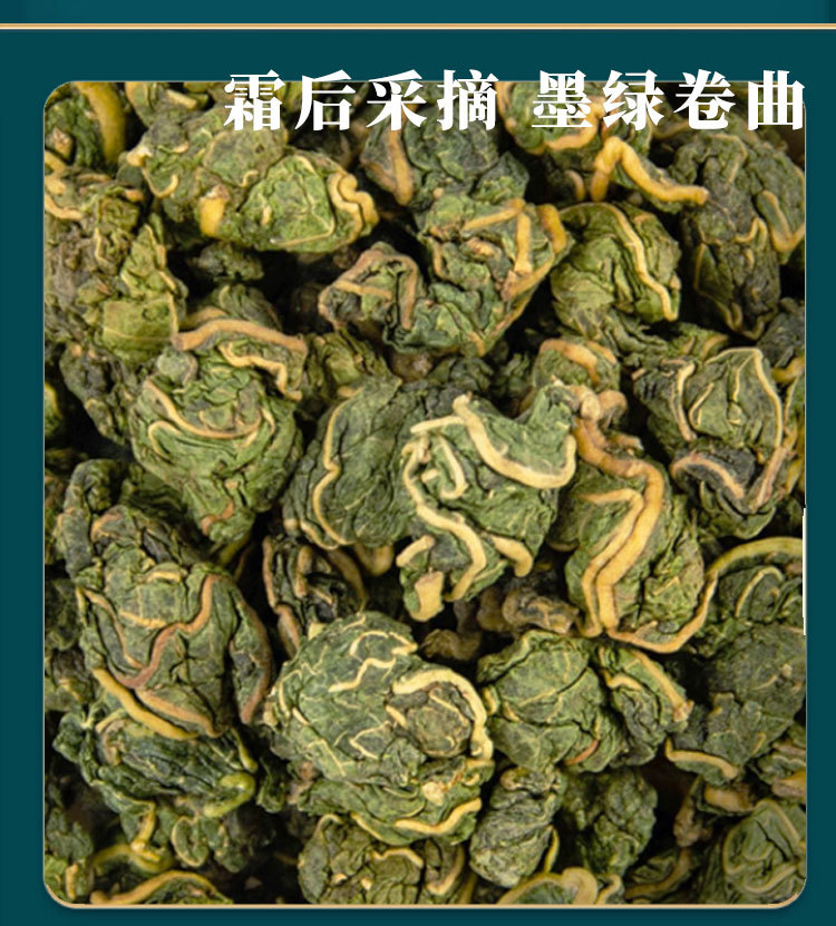 Mulberry Leaf Tea Sang Ye Granules 120g Canister Frost-Harvested Sugar Free Cold Brewed Herbal Tea in use