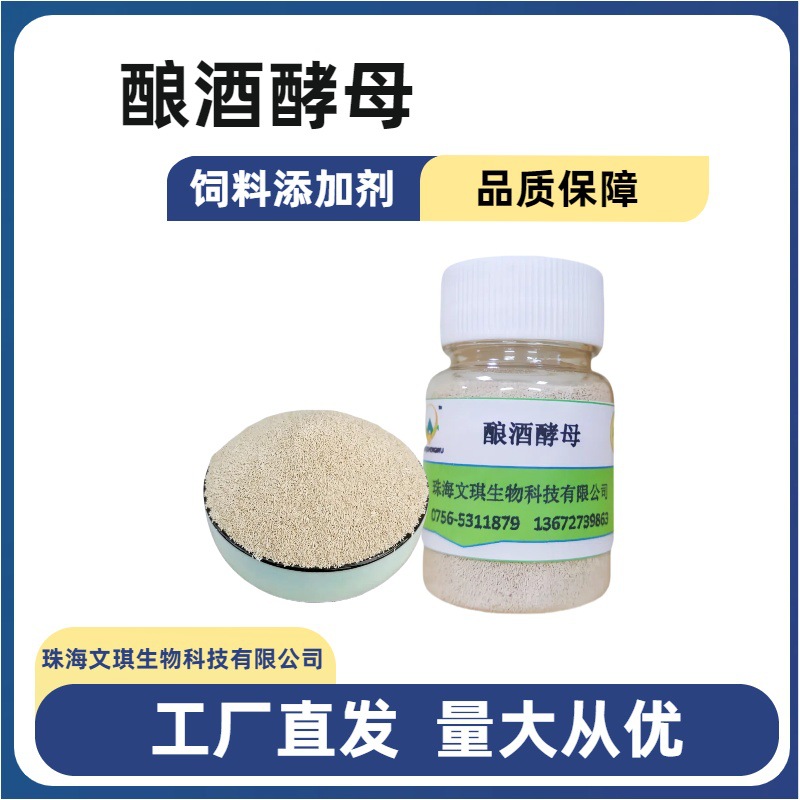饲料级酿酒酵母 活性酵母菌 禽畜水产饲料添加 量大优惠 欢迎订购