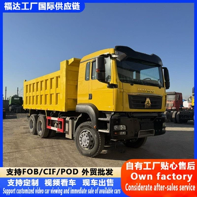 Manufacturer's Cross-Border Howo Tx Dump Yük maşınları