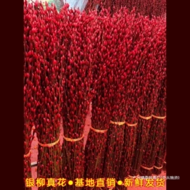 创意礼品套装;其他益智玩具;拼插类玩具