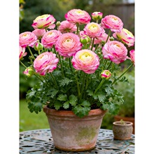 ������۹��ذ껨ëݢ���Ԏ������ļ��_����ĵ�����̨�҃Ⱥ��B��