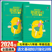 2024新版一飞冲天初中语文基础知识强化训练语文专项练习复习资料