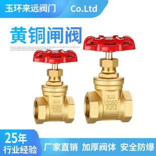 �S�~�l�y���I�y�T�_�P�l�ydn100�Ƚz�����������ք��l�yˮ���_�P