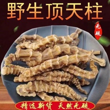 甄好货【回春草】顶天柱 不老草硬的快云南野生 持久泡茶泡酒料配