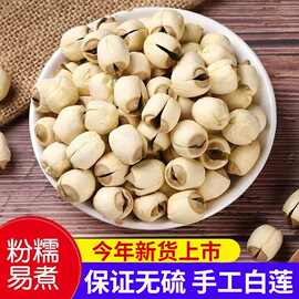 【建宁莲子】正宗福建农家自产新鲜手工去无芯白莲子特干级货散装