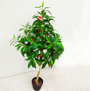 �����Ҹ����ߘ�˶����҃����̈��V�����@�Ƶ����޿��ȏd��ؔ[��