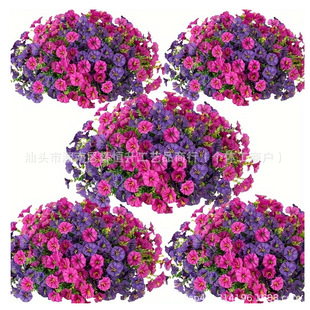 Cross-Border Amazon Artificial Seven-Pronged Eucalyptus Morning Glory Morning Glory Home Bouquet Display Table Decoration Artificial Flowers