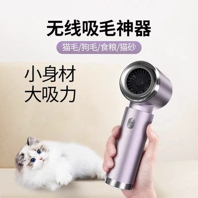 Small Mini Handheld Car Blowing – Tozsoranlar