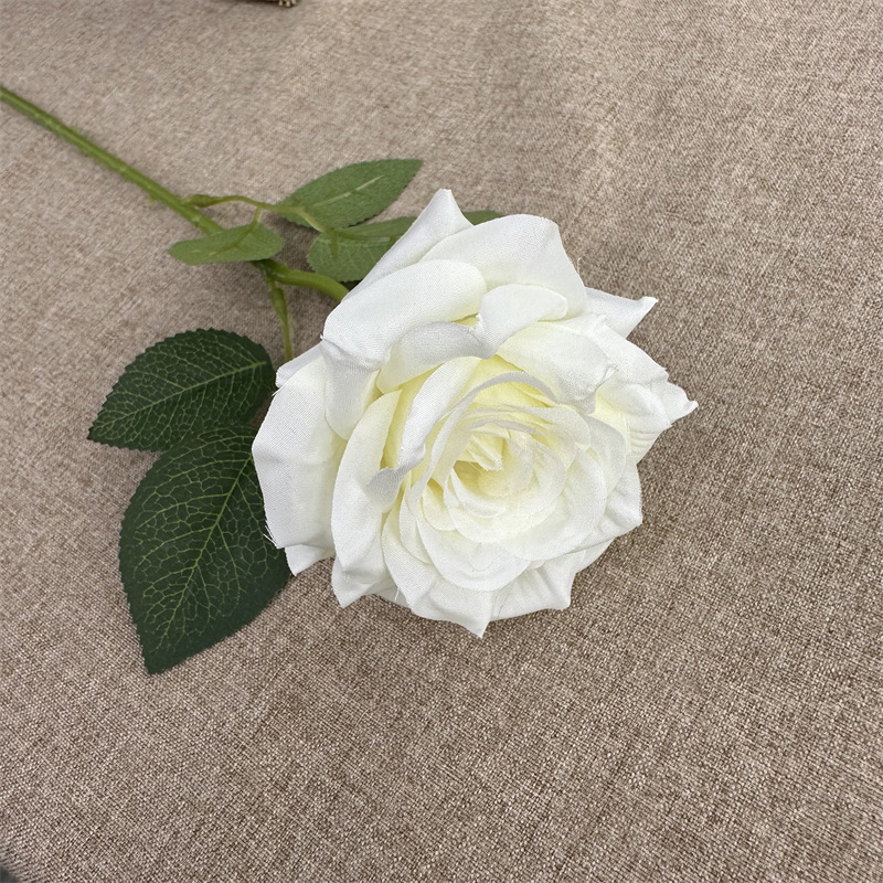 Single branch curled rose White