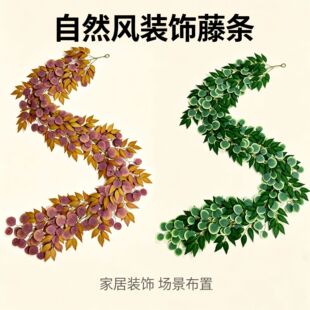 �����ɫ�͹��b��������{�ܵ��p�@���� �Ҿ����޻�Y��픱ڒ���