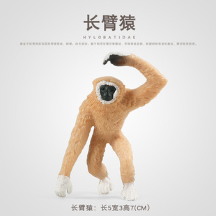 �羳�ƽ̷���Ұ���`�LĿ��������L��Գ���ɺ��ӌ��ļҾ��b[��