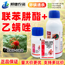 �{�ϝM�˝M�� 30%���������\����٘䚢���Լt֩���њ��\���x��