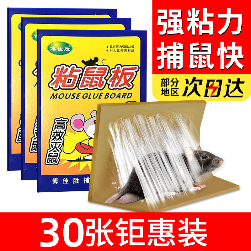 粘鼠板老鼠贴粘老鼠胶杀鼠捕鼠器26M