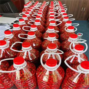 Yew dried fruit Ya'an base wholesale Yew fruit wholesale media Yew dried fruit