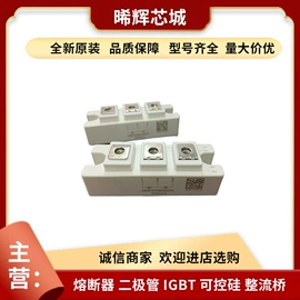 普通晶闸管;IGBT模块;其他二极管