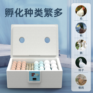 ✅ Incubator Small Water Bed Rutin Chicken Egg Incubator Household Fully Automatic Incubator Intelligent Chicken Duck Goose Incubation