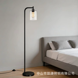 吊灯;吸顶灯;室内壁灯