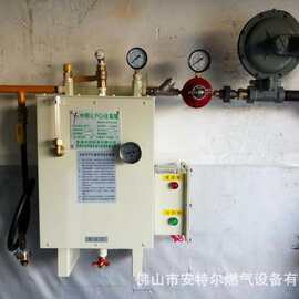 酒店专用小型节能环保型20kg化气炉佛山出售