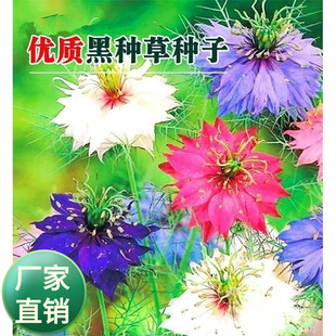 �ڷN���m�϶���N�Ļ��N���＾�ļ��������Ի����r��ͥԺ�_������