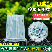 透明青山控根盆兰花石斛水苔蝴蝶兰专用花盆大号家用塑料透气镂空