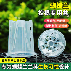 透明な青山根制御ポット蘭デンドロビウム苔胡蝶蘭特別な植木鉢大型家庭用プラスチック通気性中空