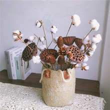 ��Ȼ�޻�ɏ���ɹ������ɻ����� ����diy�ɘ�֦ �[�Ż��ܵ����b�