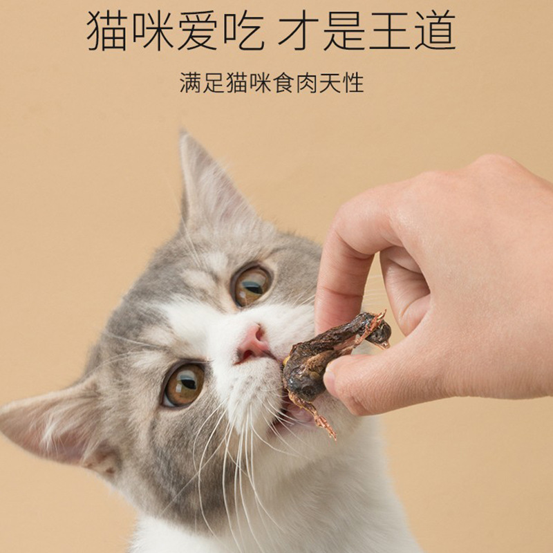 Gato nervioso, comida para gatos secos, bocadillos para gatos jóvenes, dientes limpiadores, mascotas resistentes a la mordida, carne seca para gatos, bocadillos para mascotas