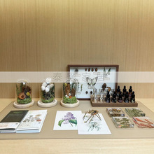 �F�����s�Ӱ��g��������ֲ�ﻨ�ܘ˱����x���͹Pӛ��ܛ�b������