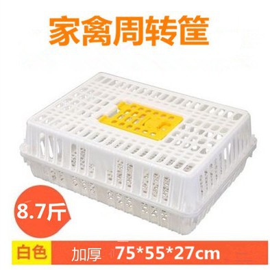 跨境养殖塑料鸡笼运输鸡笼子厂家直供蛋鸡笼成鸡周转箱鸡笼周转筐