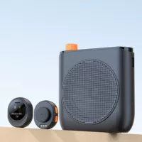Заводской новый частный микрофон-петличка J98 Little Bee с усилителем, беспроводной Bluetooth, для преподавателей и лекций