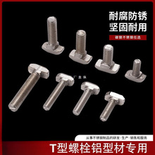 T���ݽzt����˨��ĸ�W���X�Ͳć���3030/4040/45ϵ��M5/M6/M8���