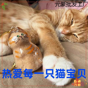 Pet Cat Hair Commemorative Cat Gashapon Transparent High-Value Dog Hair and Cat Hair Collection Suction Mini Storage
