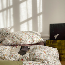 �֠���2026�¿�ᘿ����ļ��� 1.5m���ο��ļ��� �W��