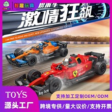 ������ľ����ʽ����f1ƴװ�ܳ�ģ����߶�ͯС�����ɻ��м����ָ�