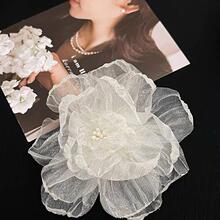 С����~�W��������l�A߅�A�Ⱥ��X�װl�����ɶȼ��L����ɭϵ�^�