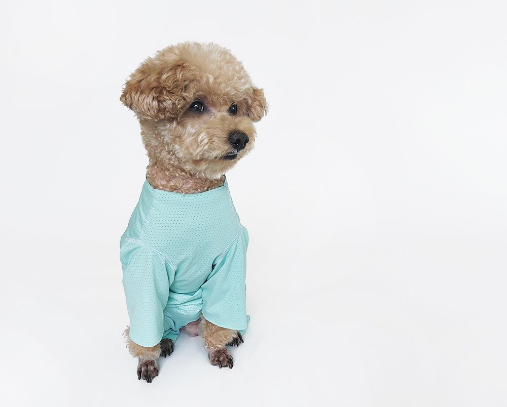 Svalkande hundklänning för bichon solskydd och insektskydd_voghion.com