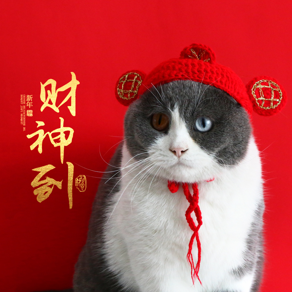 Mascota gato Oso De Peluche perro Año Nuevo afortunado sombrero lana punto Dios Riqueza caliente cabeza Festival Primavera Internet accesorios la celebridad