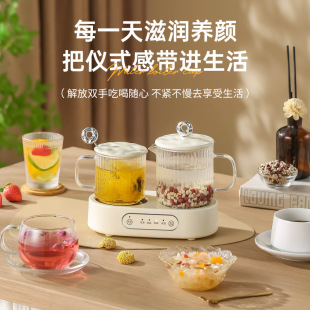 Mini Health Kettle Kettle Tea Boiling Thermal Insulation Multifunctional Tea Maker Electric Kettle Boiling Teapot Office Constant Temperature