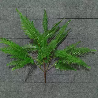 大把波斯叶婚庆森林系绿植叶子花材配叶酒店花艺装饰插花吊花花排