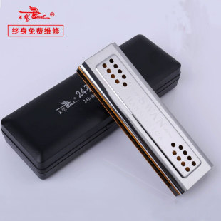 Swan 24-Hole Double-Sided Double-Tone Polyphonic Plastic Box Harmonica for Adults and Kidsren Beginners Playing Instrument Factory Direct Sales