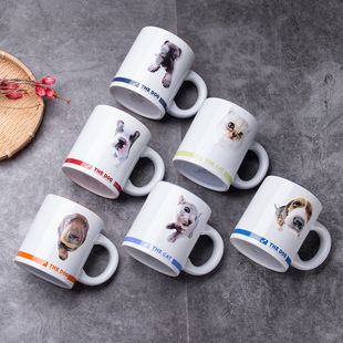 �����մɹ��D����ˮ������ţ�̱�ceramic mug for water gift box