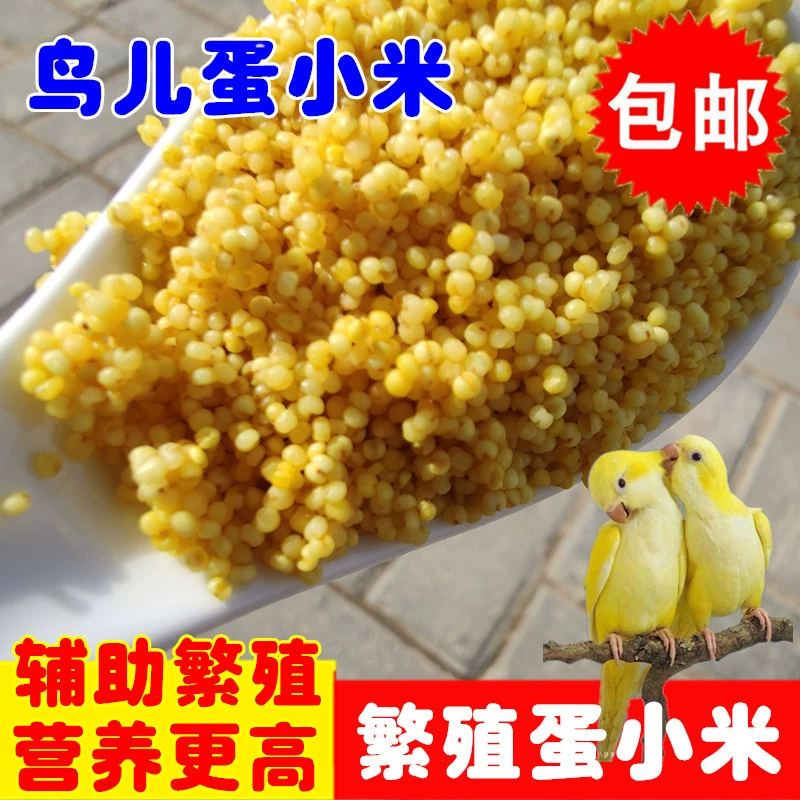 Яичное просо Яичная рисовая скорлупа-желтое просо Сухое молоко для попугая Xuanfeng с Пионом для продвижения обратного разведения корма для птиц