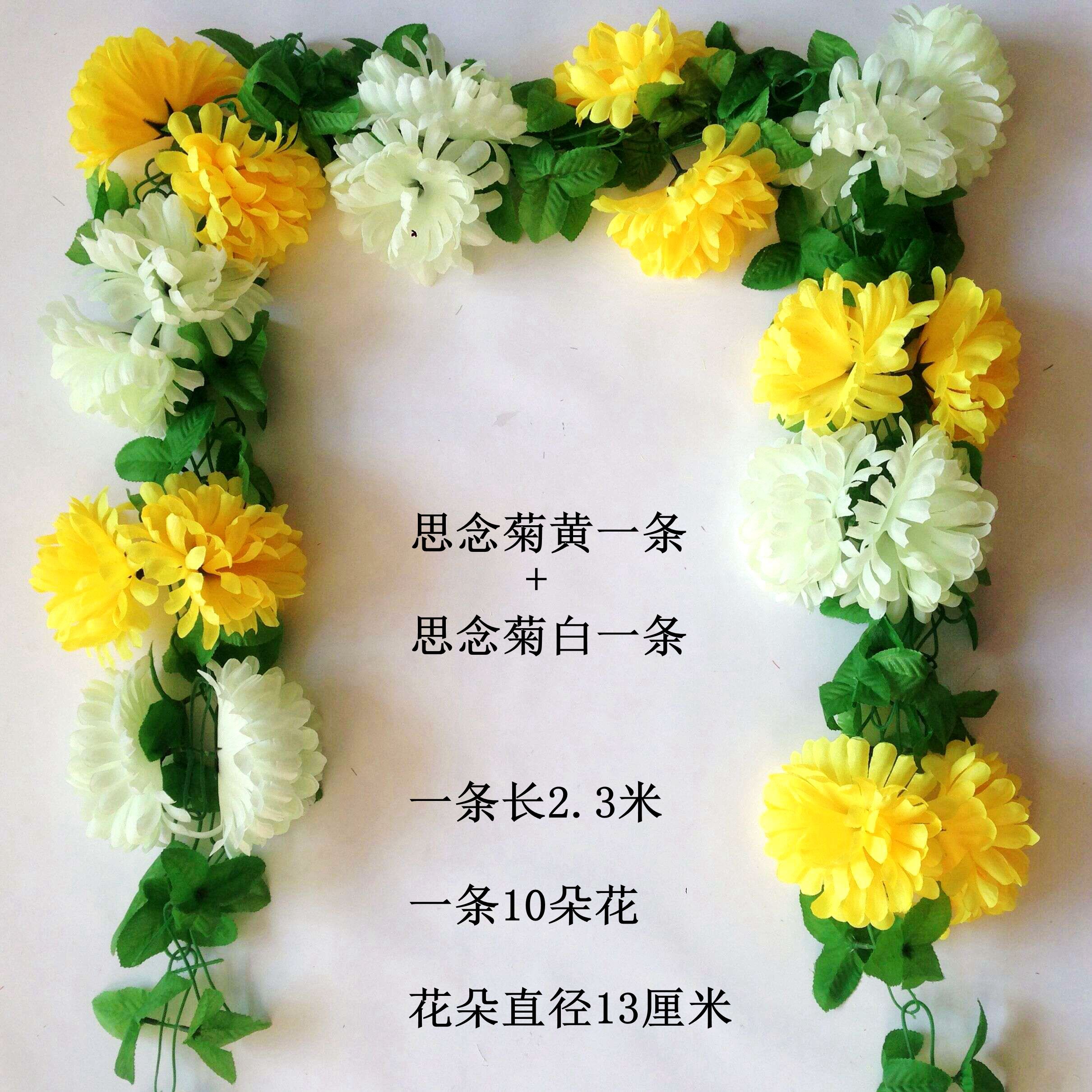 13 centimeters of miss chrysanthemum yellow and white each