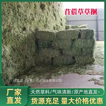 26����ޣ�ݸɲ݄���@����R����L�i¹����������ϻ���ޣ�ɲ���