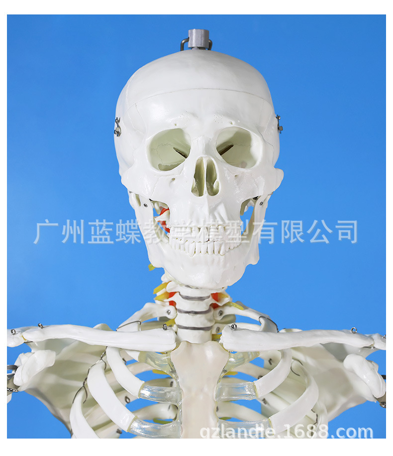 详情_09