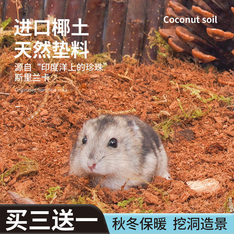 Hamsters Litter Forest Coconut soil Watkins Bear natural decorate Landscaping Supplies DIY Nest Hide