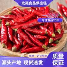 �F�ݝM��������������������С�׽����ǽ����l�u��؛�����γ��콷