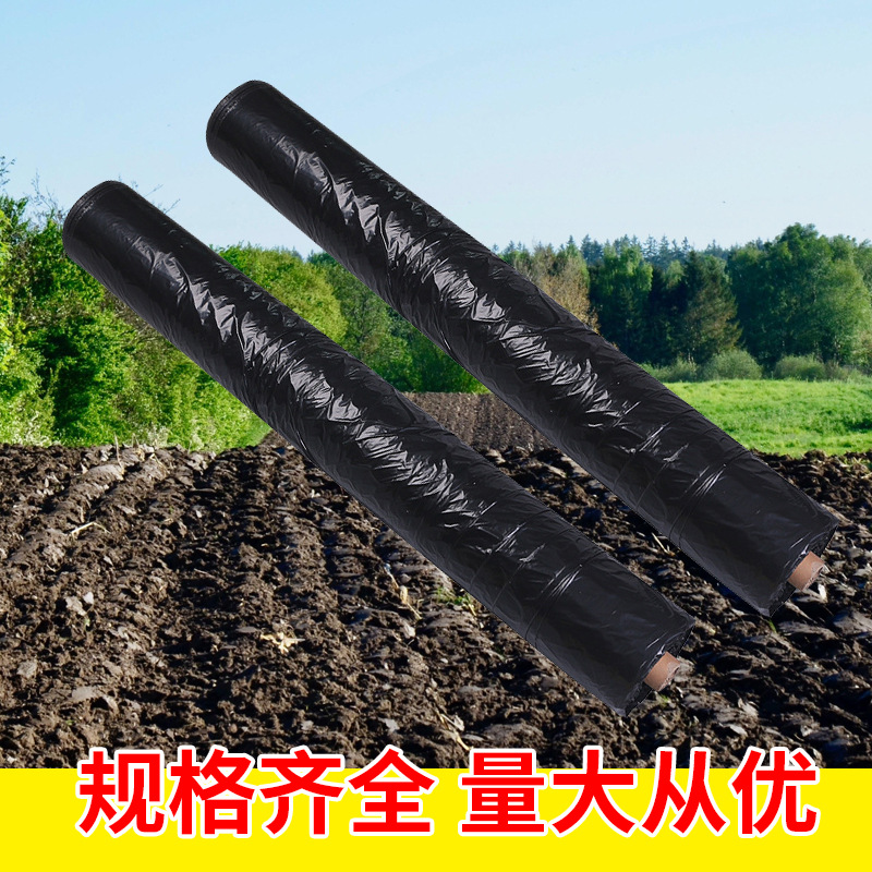 Fuente de la fábrica de soporte de múltiples tamaños de fresa especial de plástico PE película negra película de plástico agrícola al por mayor