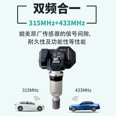 in One 433/315Mhz, Tire pressure monitoring system