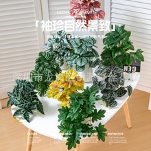 ���l�҃��b�ֲ��������С�Gֲ���Ԕ[���ٻ�ֲ�����ֲ��ڒ�